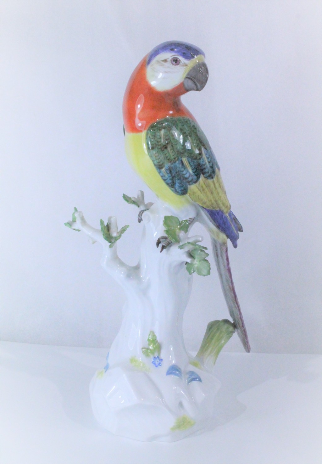 Papoušek -Míšeň