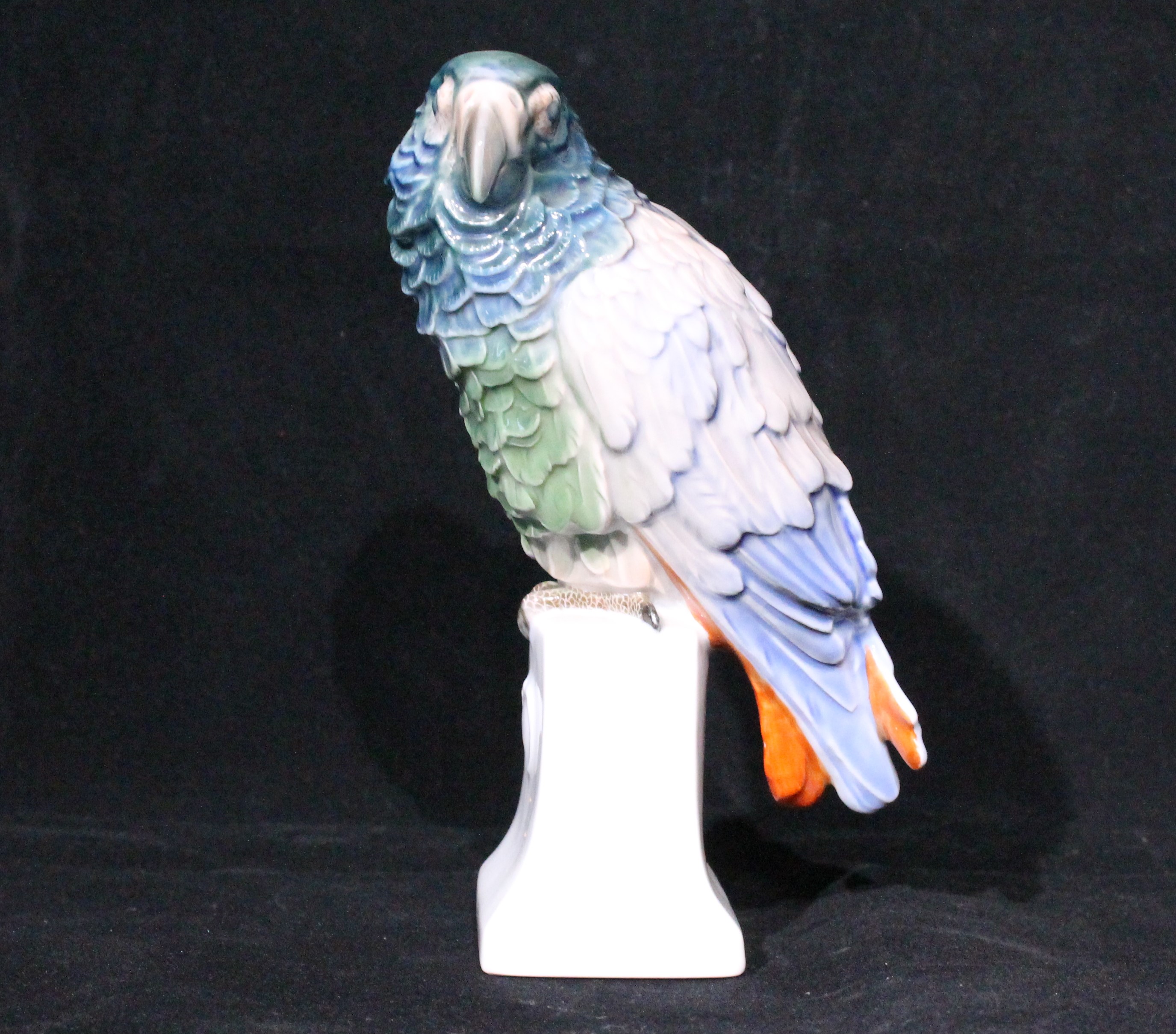 Papoušek s šedou hlavou