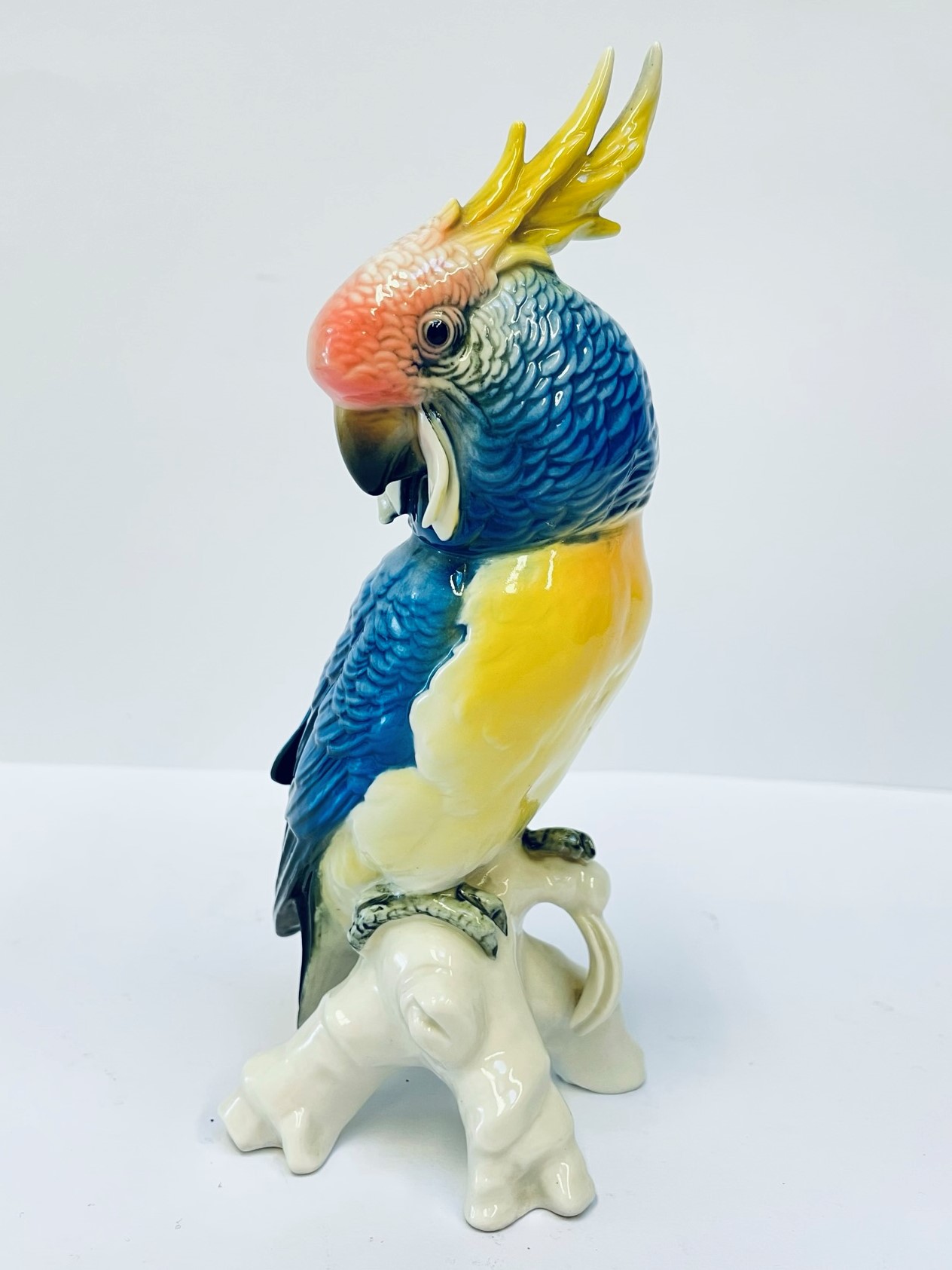 Papoušek se žlutou chocholkou