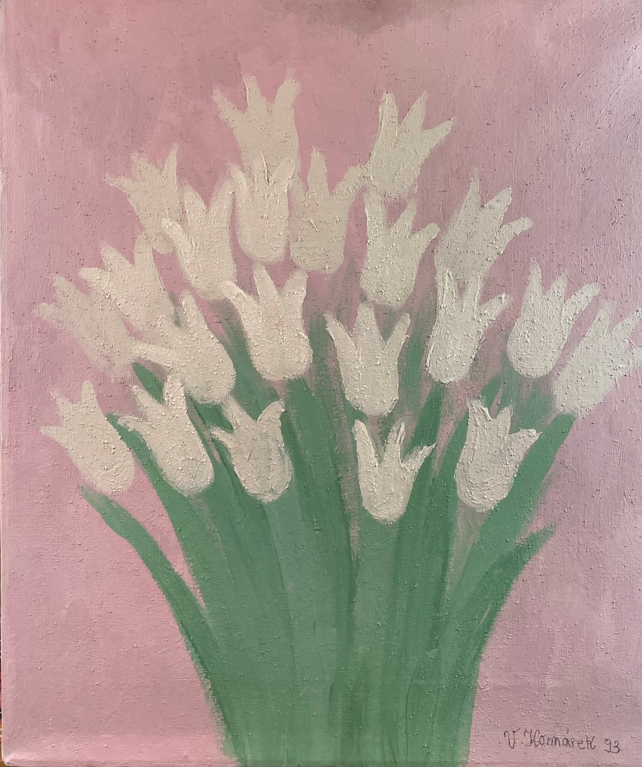Bílé tulipány - Vladimír Komárek
