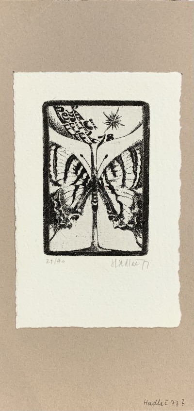 Grafika - Motýl