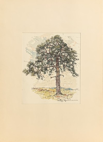 Mistřice Hrubý bor
